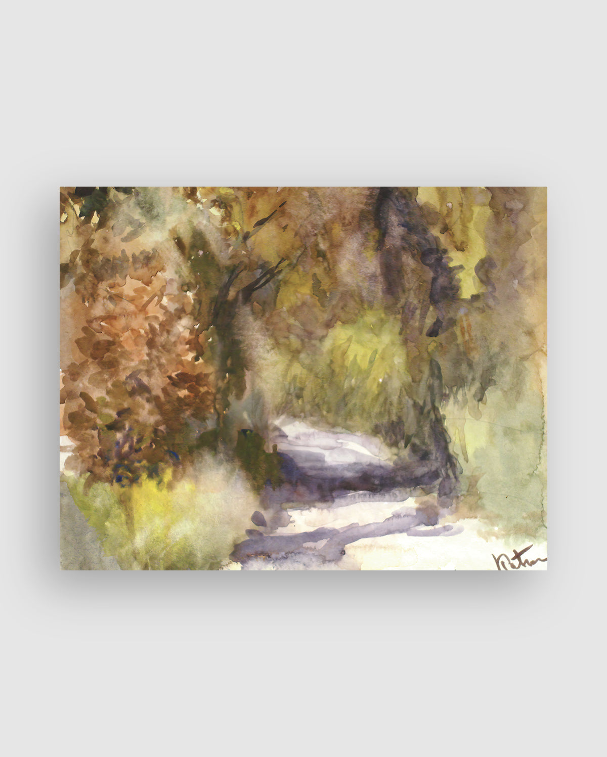 Autumn Forest