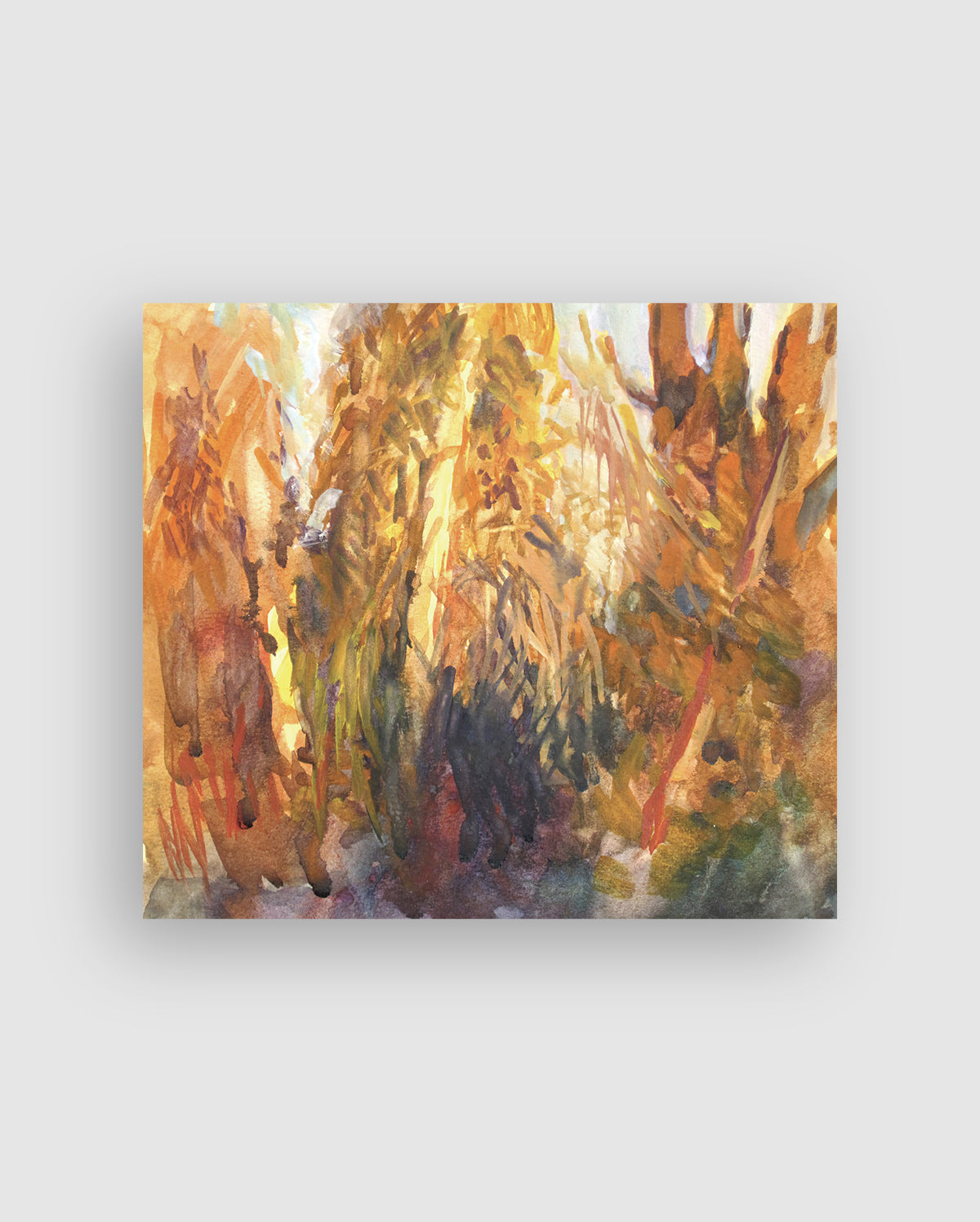 Autumn Sunlight